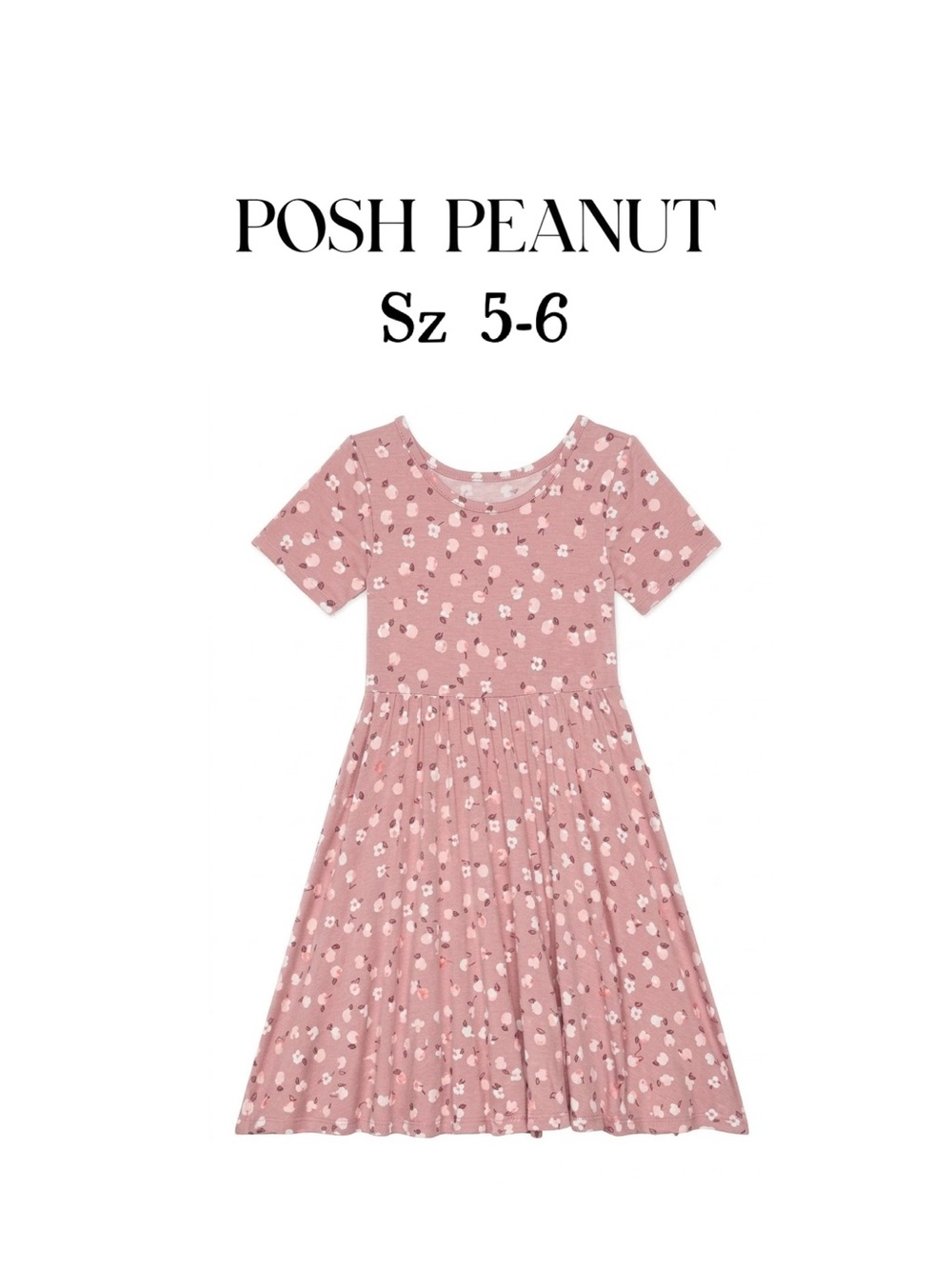 POSH PEANUT Emmilene Twirl floral Dress Size 5-6